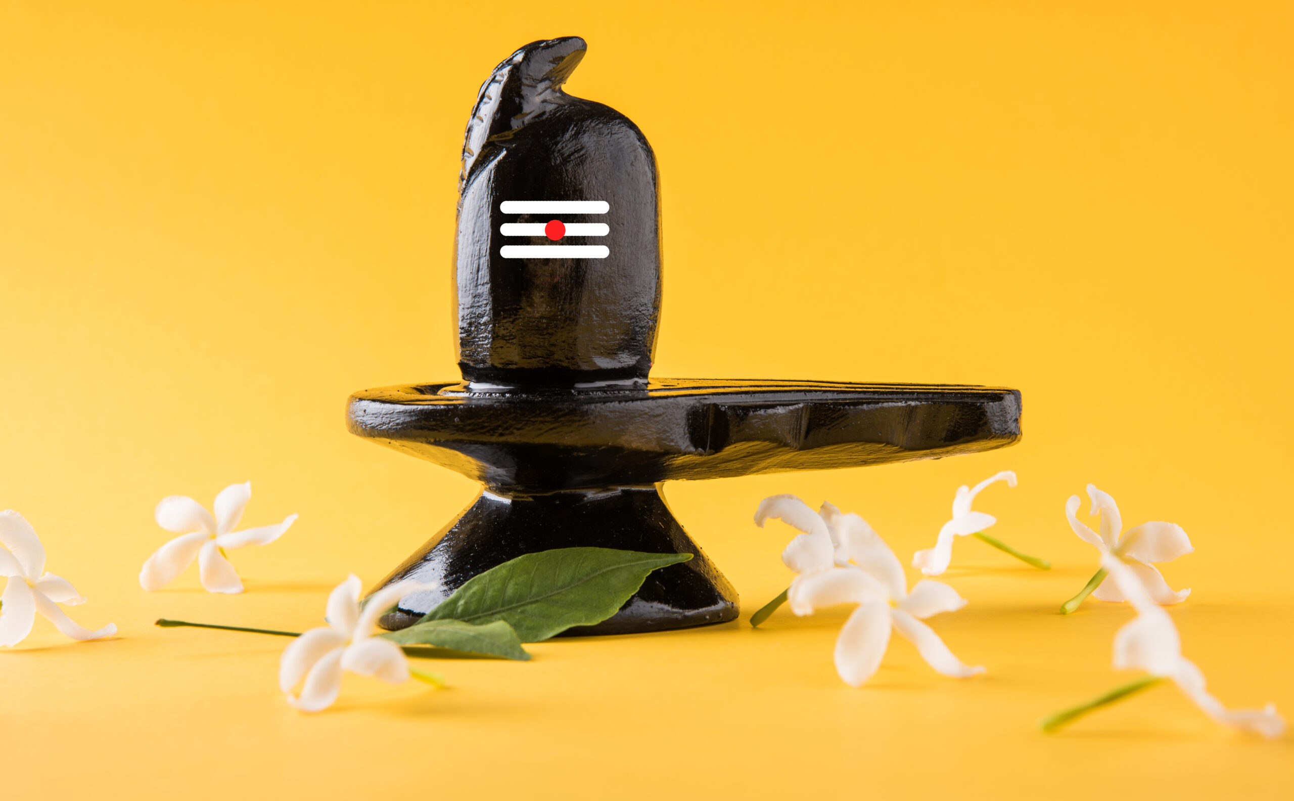 Shiva Linga decorated with flowers & bel patra or leaf and haldi kumkum for Pooja or worshipping of Lord shiva or Shankar bhagwan